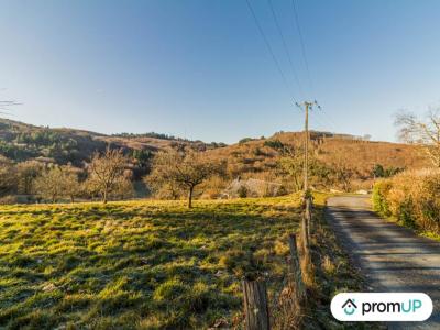 photo For sale Land SAINTE-FORTUNADE 19