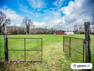 photo For sale Land SAINT-FLORENT 45