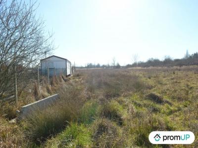 photo For sale Land AMBARES-ET-LAGRAVE 33