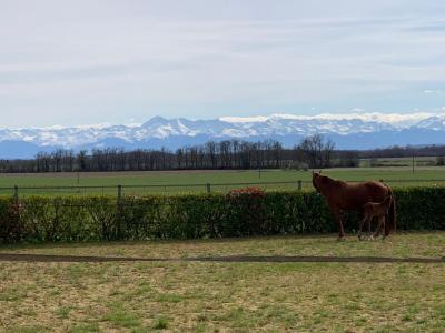 photo For sale Prestigious house TARBES 65