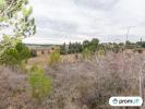 Acheter Terrain Lunel-viel 250000 euros