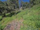 For sale Land Oletta  20232 1406 m2