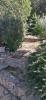 Acheter Maison Porto-vecchio 420000 euros