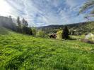 For sale Land Rochesson  88120 3570 m2