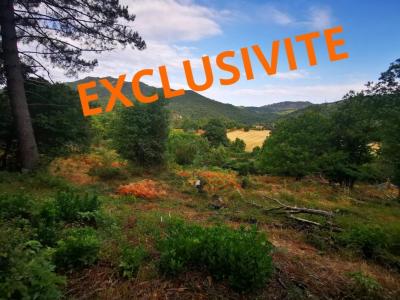 photo For sale Land QUENZA 20