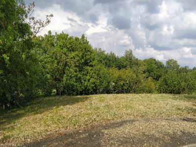 photo For sale Land LAGRAVE 81