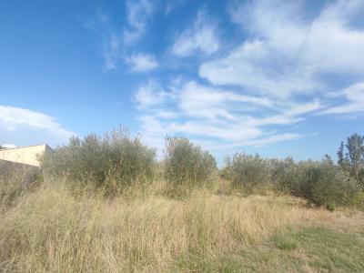 photo For sale Land FONTES 34