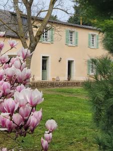 photo For sale House CHATEAUNEUF-SUR-SARTHE 49