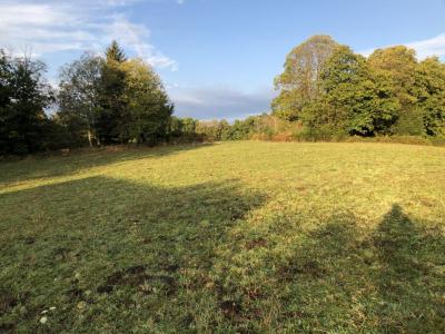 For sale Land GUERVILLE  78