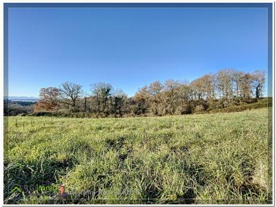 photo For sale Land MOMAS 64