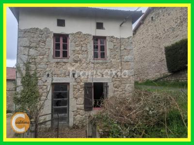 For sale House CHABANNE  03