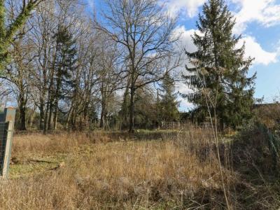 photo For sale Land ROINVILLE 91