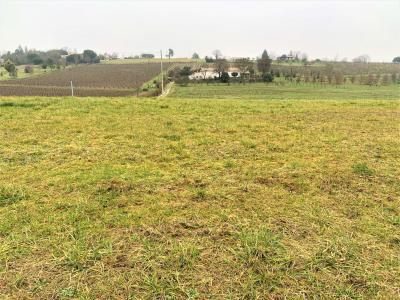 photo For sale Land MARMANDE 47