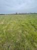 For sale Land Airel  50680 800 m2