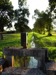 photo For sale Land SAINT-LAURENT-MEDOC 33