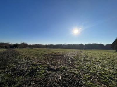 photo For sale Land VIGNOLS 19