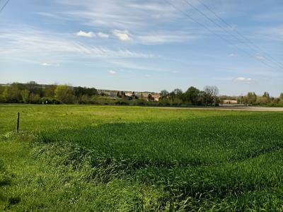 Vente Terrain SAINT-CIERS-DU-TAILLON 17240