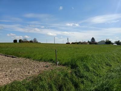 Vente Terrain SAINT-CIERS-DU-TAILLON  17