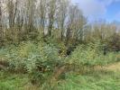 Acheter Terrain Saint-thomas-de-conac Charente maritime
