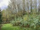 Acheter Terrain Saint-thomas-de-conac 54500 euros