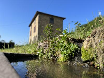 Vente Maison CUBLIZE 69550