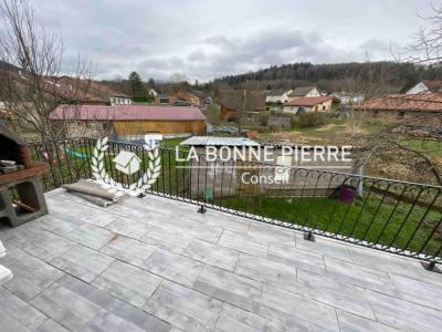 Vente Immeuble SAINT-DIE 88100