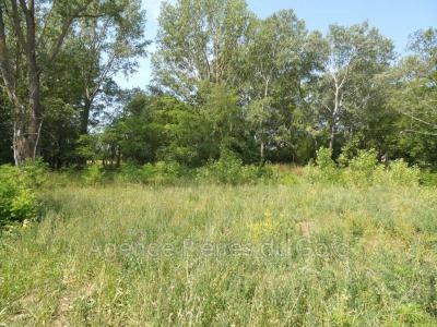 For sale Land TRESQUES  30