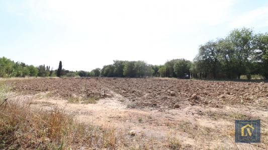 photo For sale Land SOLER 66