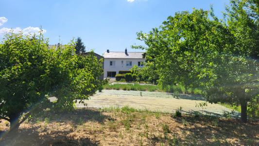 photo For sale House MAUMUSSON 44