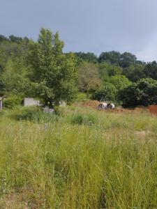 photo For sale Land MURET 31