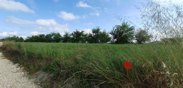 photo For sale Land DURAS 47