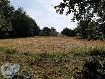 photo For sale Land DOMME 24