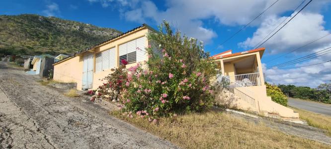 Vente Maison DESIRADE 97127