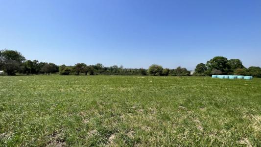 Vente Terrain QUETTREVILLE-SUR-SIENNE 50660