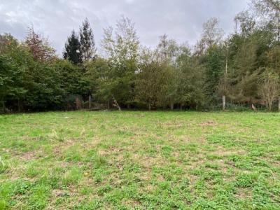 photo For sale Land RIEULAY 59