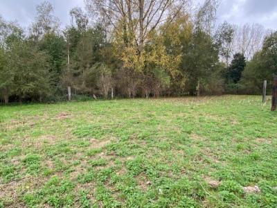 photo For sale Land RIEULAY 59