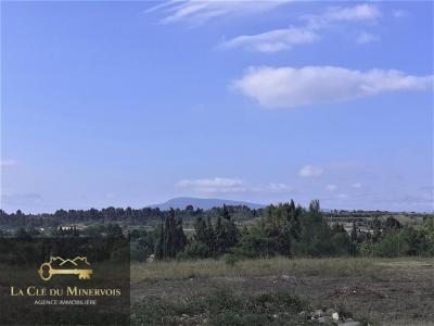 For sale Land REDORTE  11