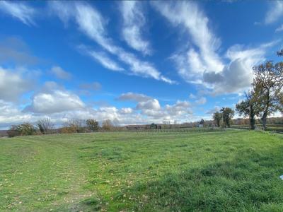 photo For sale Land LASSERRE 31