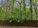 Annonce Vente Terrain Lamorlaye