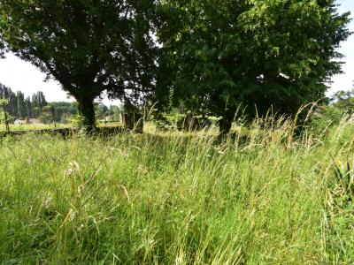 For sale House VOUZAN GRAND ANGOULEME