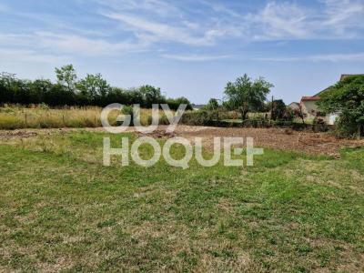 photo For sale Land MONETEAU 89