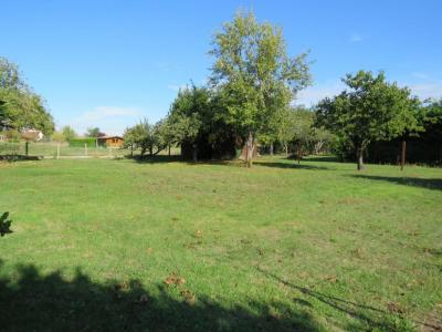 For sale Land THIMORY  45