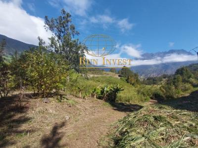 photo For sale Land SALAZIE 974