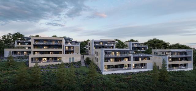 Vente Appartement SAINT-DIDIER-AU-MONT-D'OR 69370