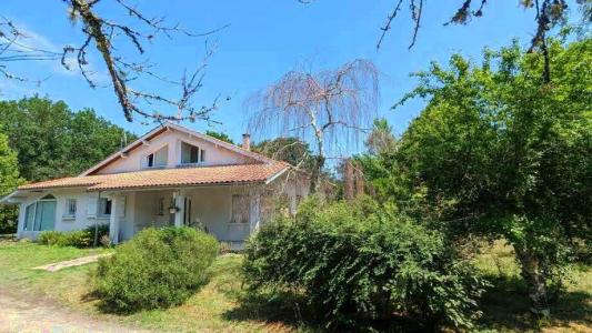 Vente Maison PARENTIS-EN-BORN 40160