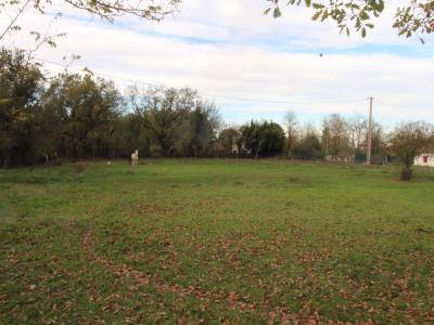 photo For sale Land PUYGAILLARD-DE-QUERCY 82