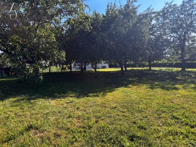 Vente Terrain SAINT-ETIENNE-DU-BOIS 01370