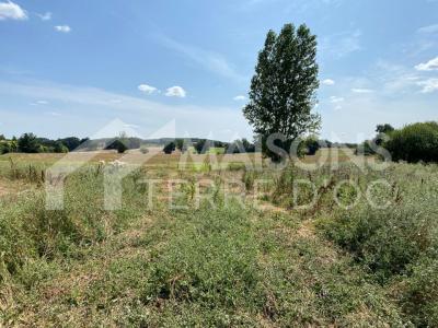 photo For sale Land SAINT-PAUL-CAP-DE-JOUX 81