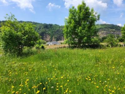 photo For sale Land ALBIGNAC 19