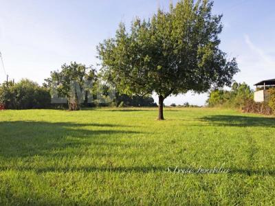 photo For sale Land MONTBARTIER 82